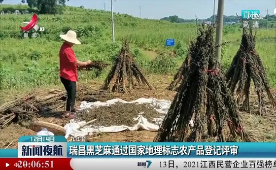 喜訊！“瑞昌黑芝麻”通過(guò)國(guó)家地理標(biāo)志農(nóng)產(chǎn)品登記評(píng)審！